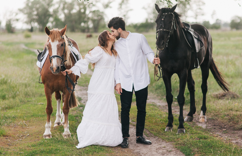 жених и невеста, поцелуй, лошади